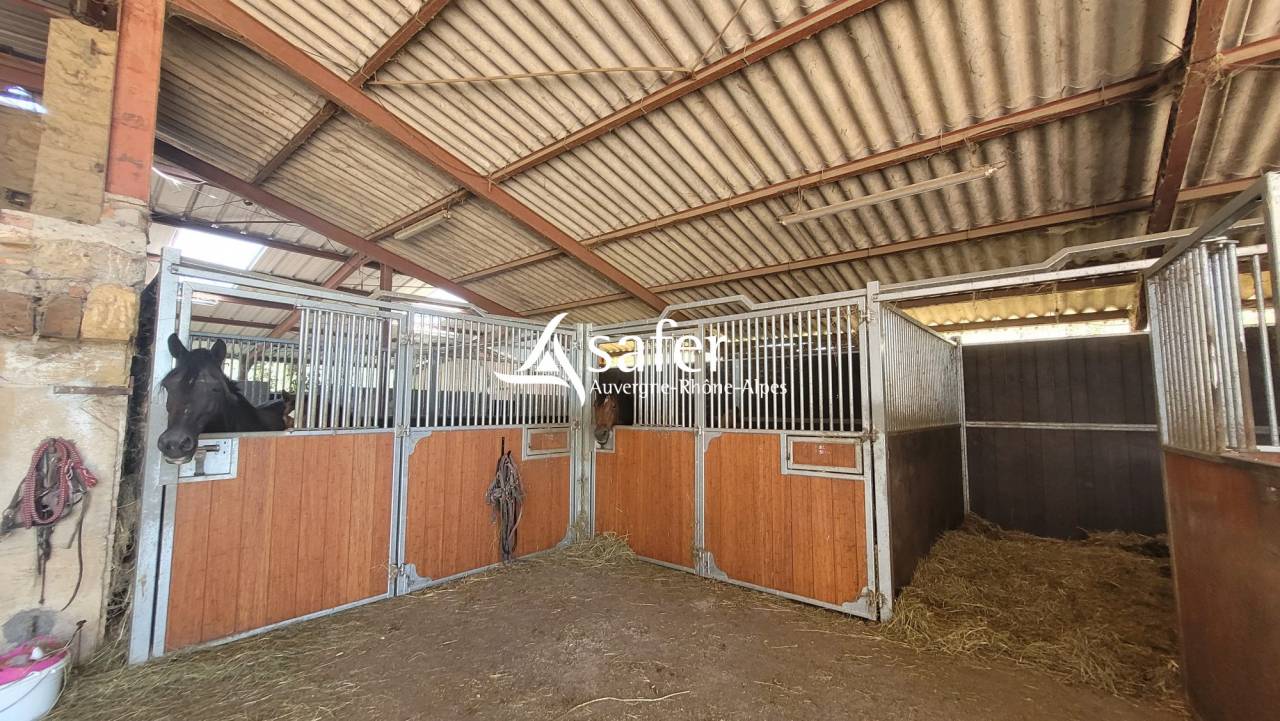 Equestrian property  Allier