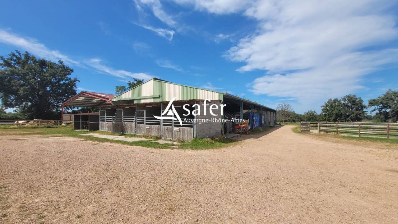 Equestrian property  Allier