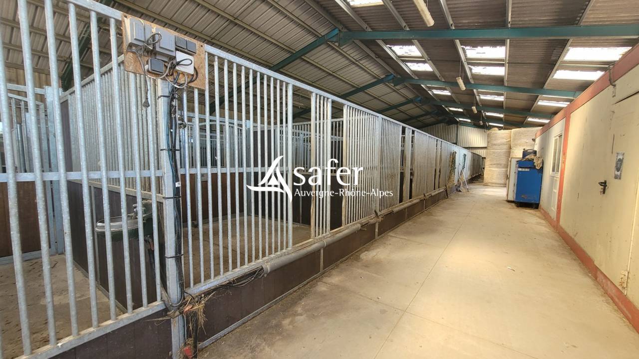 Equestrian property  Allier