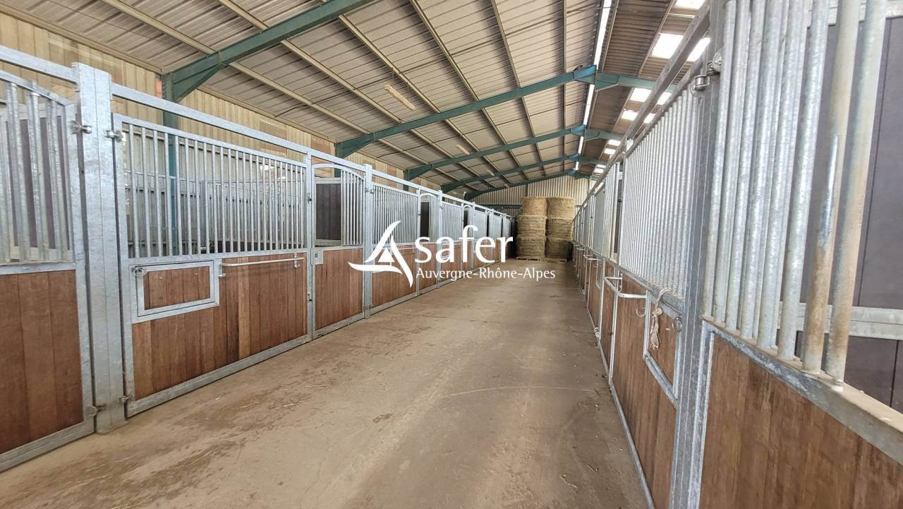 Equestrian property  Allier