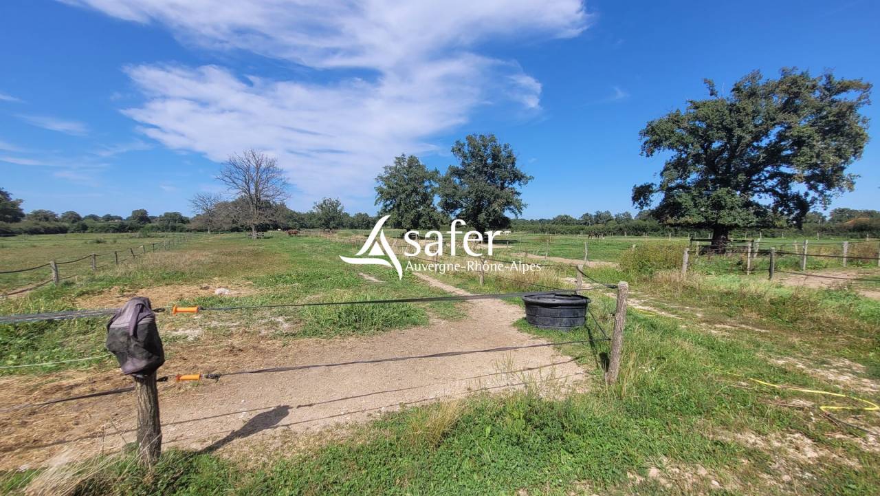 Equestrian property  Allier
