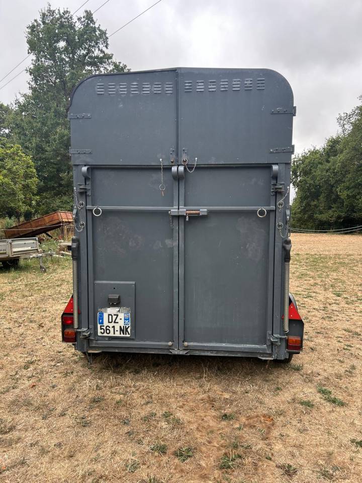 Horse trailer Ifor Williams HB505R 2 Stalls 1996 Used