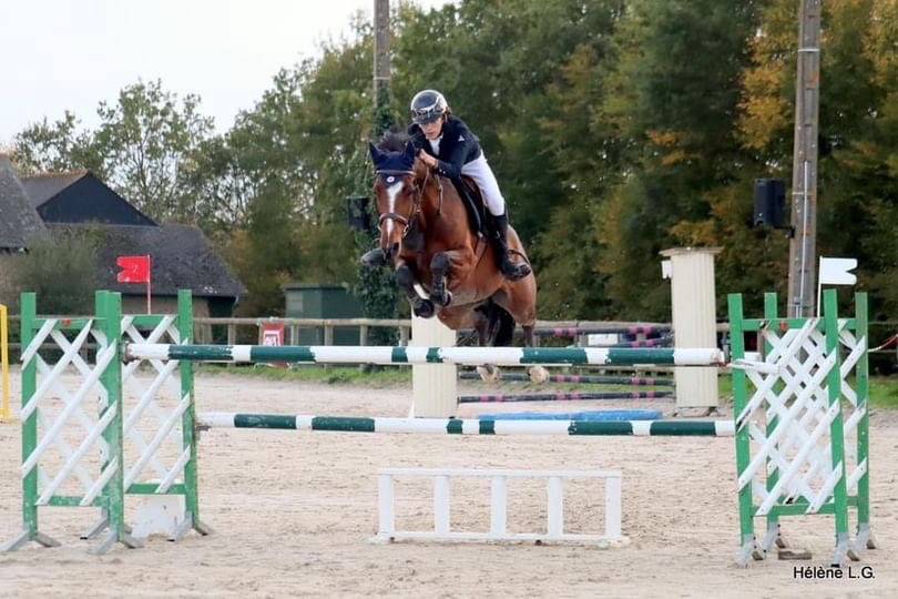 Mare French Saddle Pony For loan 2009 Bay