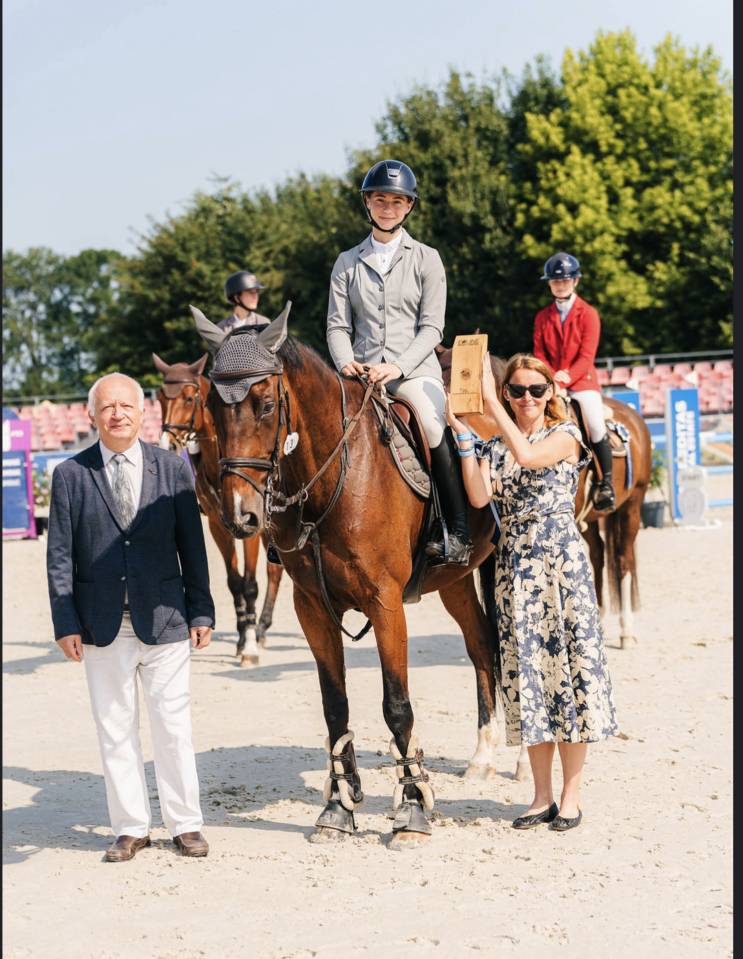 Winning gelding for children/ junior classes