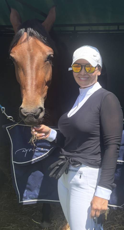 Mare KWPN Dutch Warmblood For sale 2020 Bay
