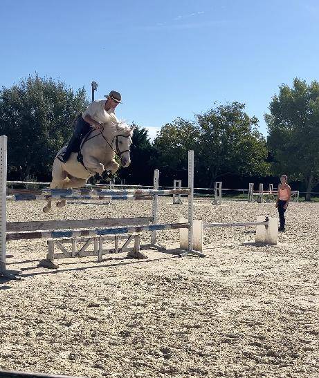Gelding French Saddle Pony For sale 2017 Palomino