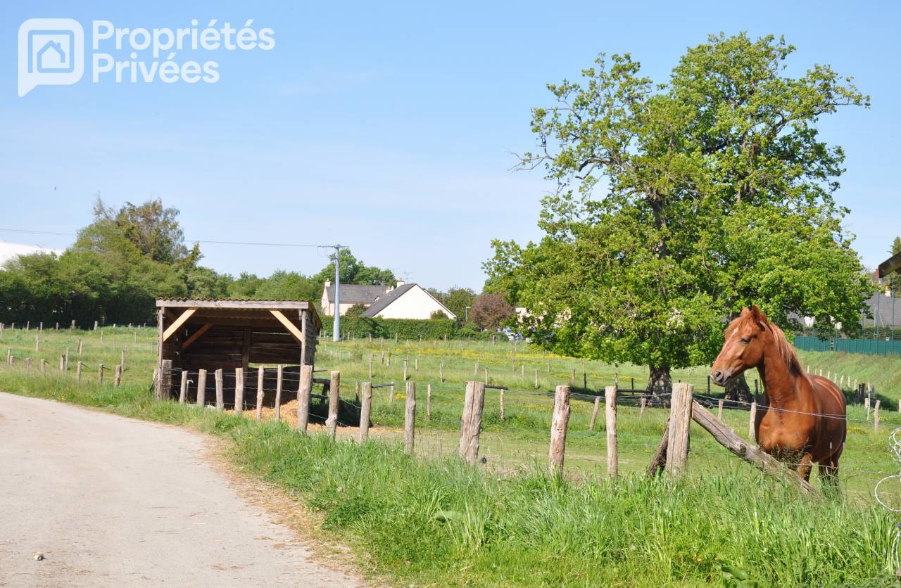 Riding school  Mayenne