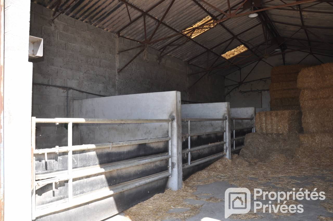 Riding school  Mayenne