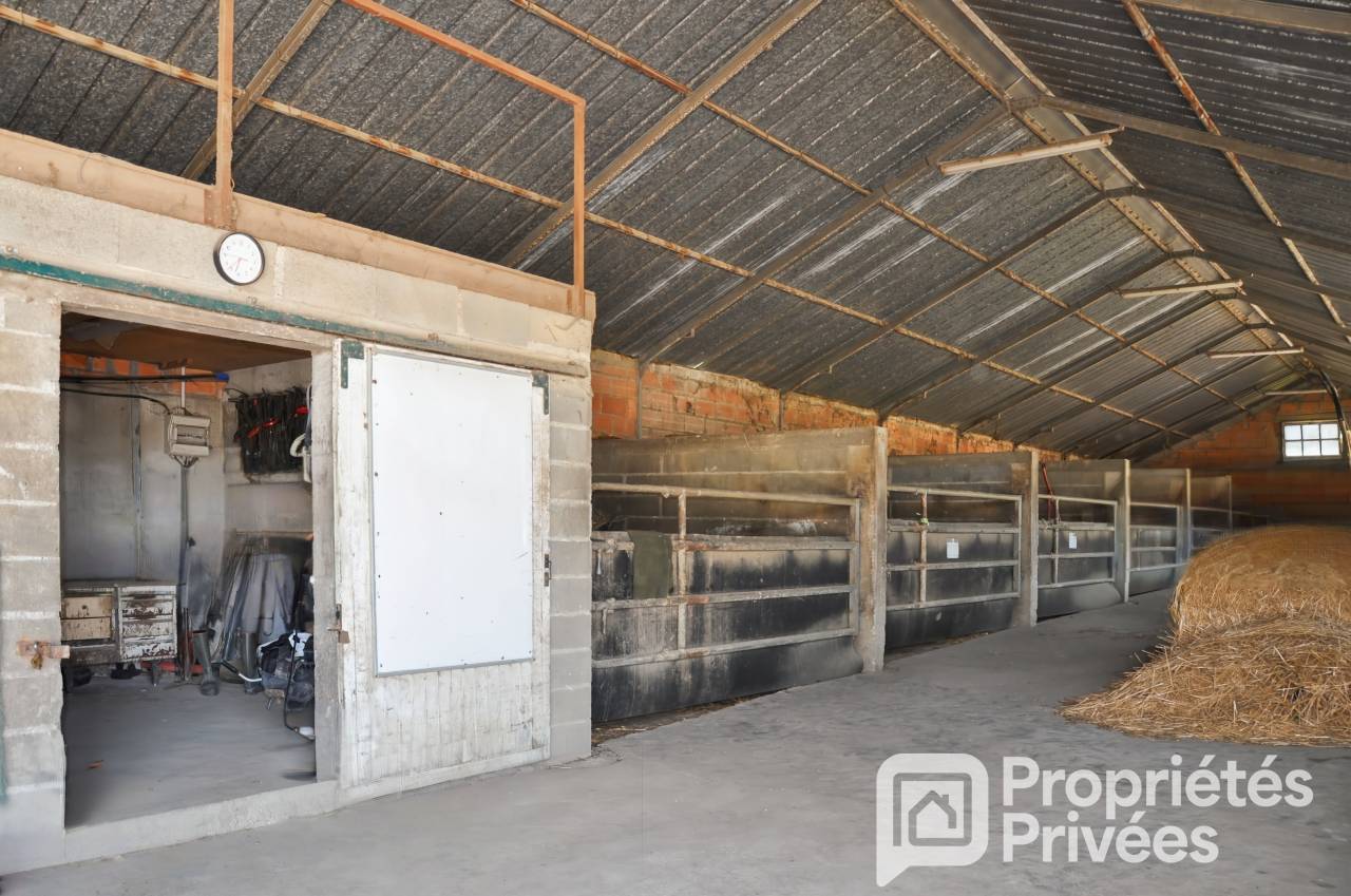 Riding school  Mayenne
