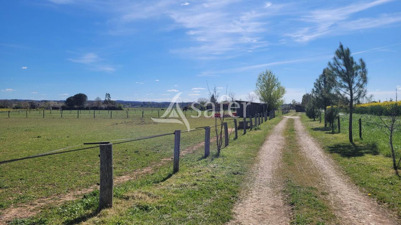 Equestrian property  tarn