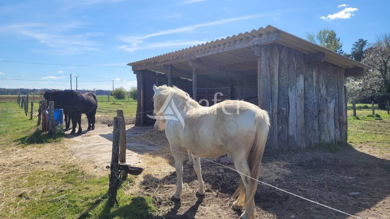 Equestrian property  tarn