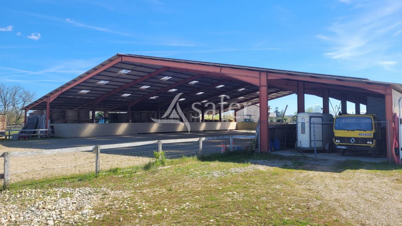 Equestrian property  tarn