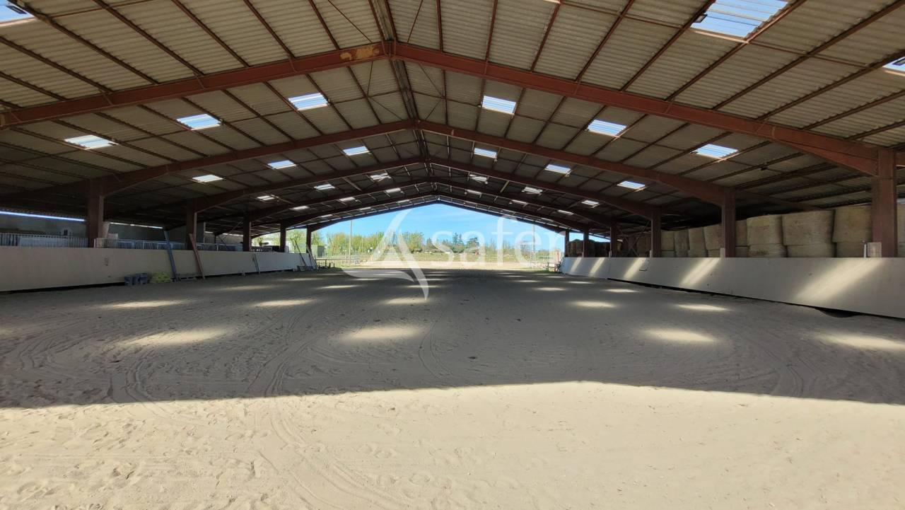 Equestrian property  tarn