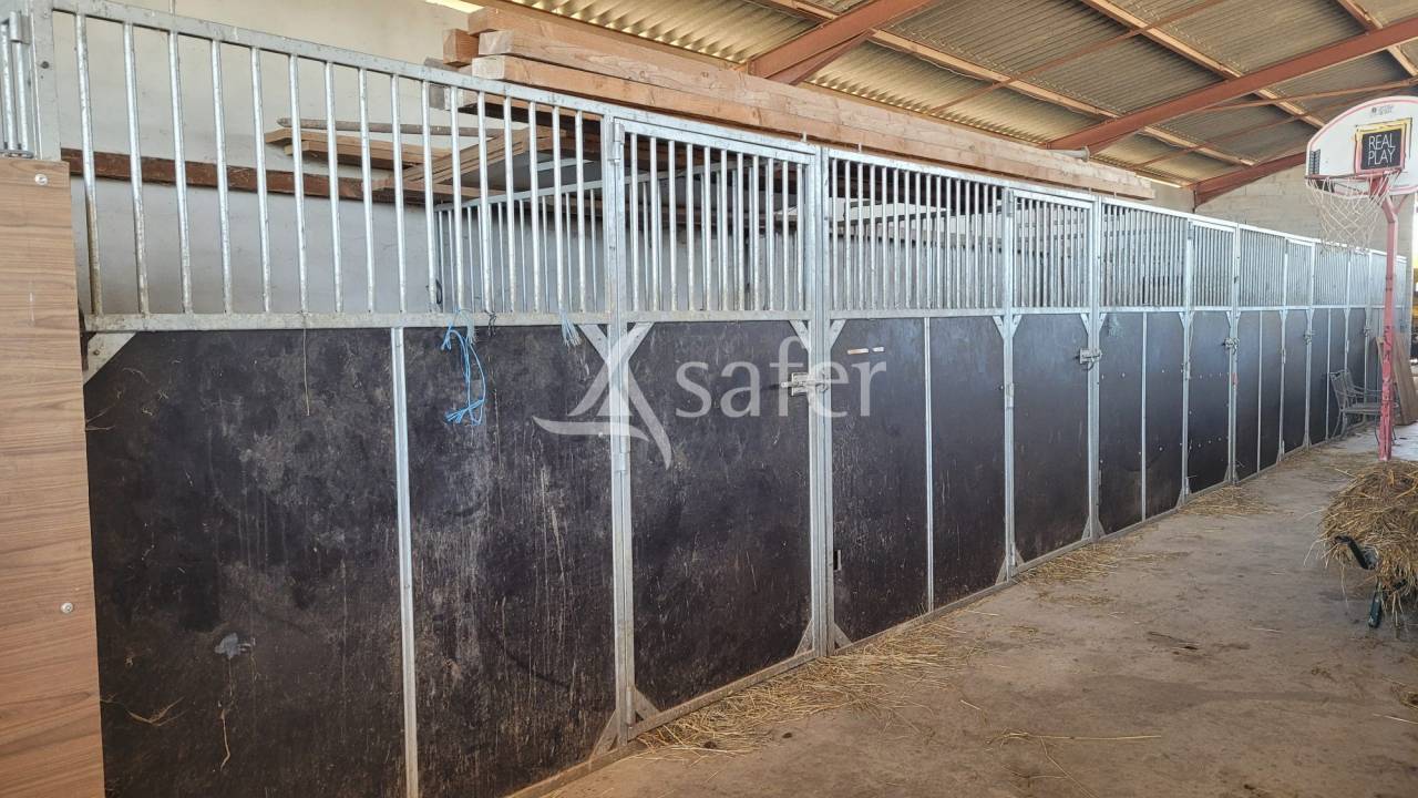 Equestrian property  tarn