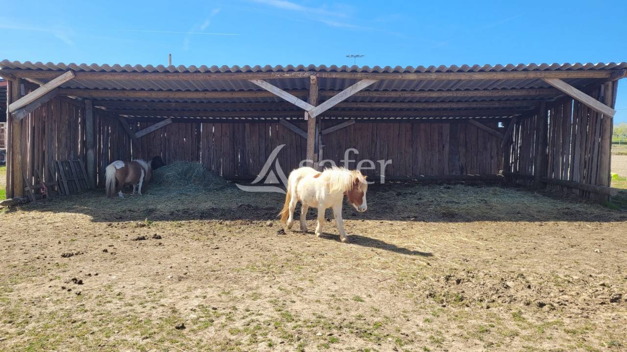 Equestrian property  tarn