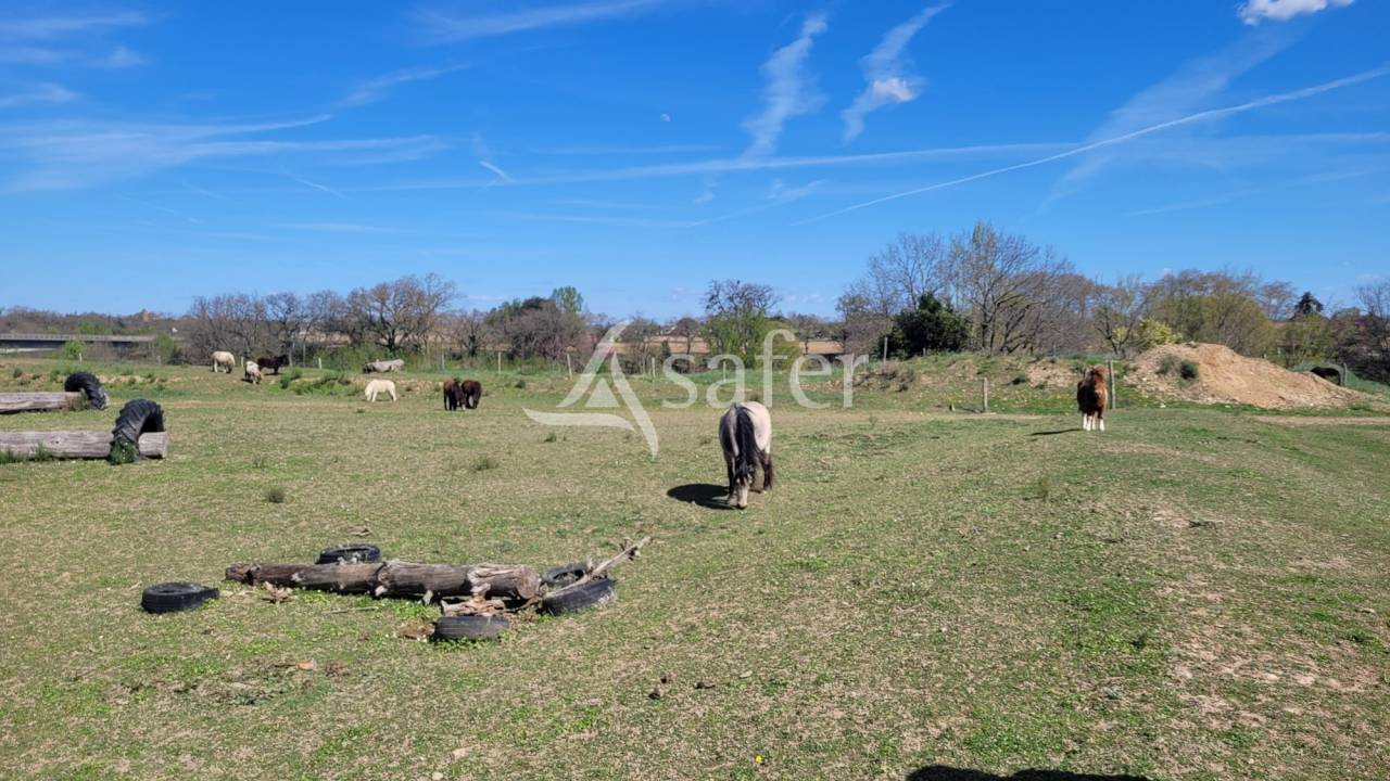 Equestrian property  tarn