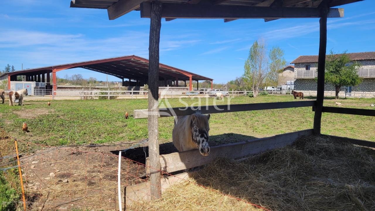 Equestrian property  tarn