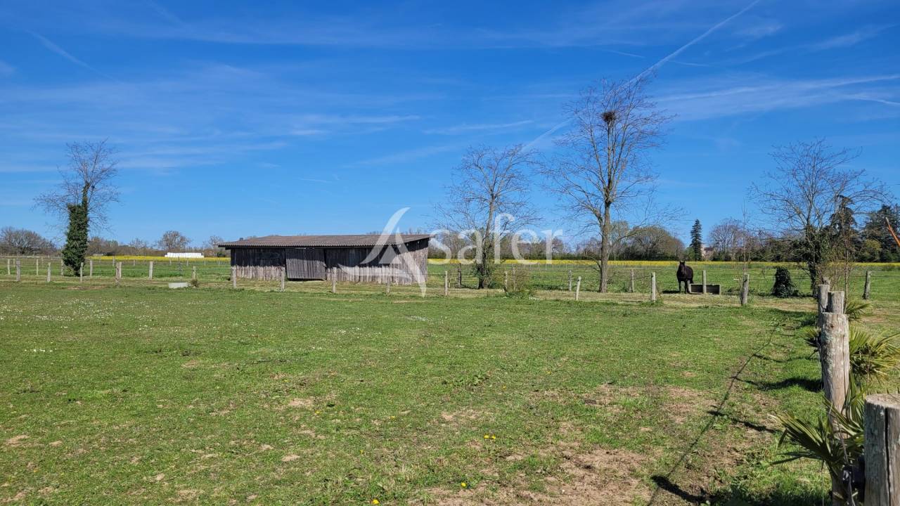 Equestrian property  tarn