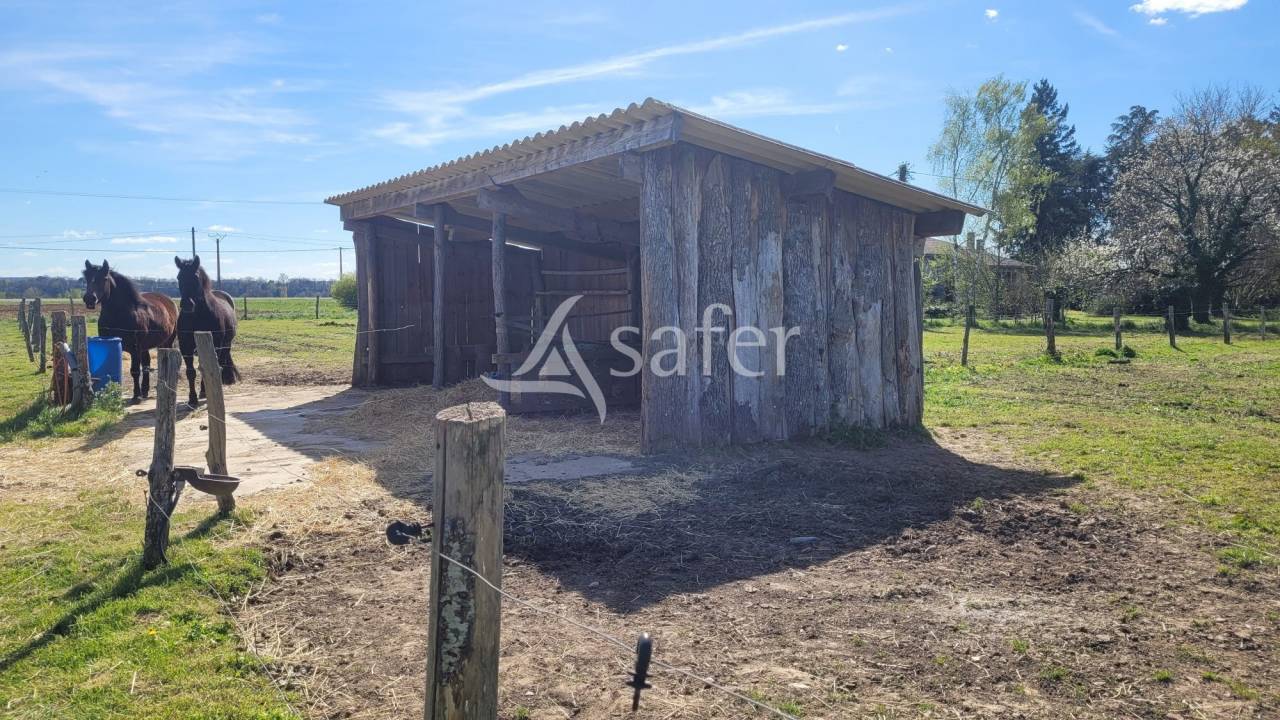 Equestrian property  tarn