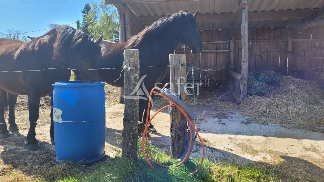 Equestrian property  tarn