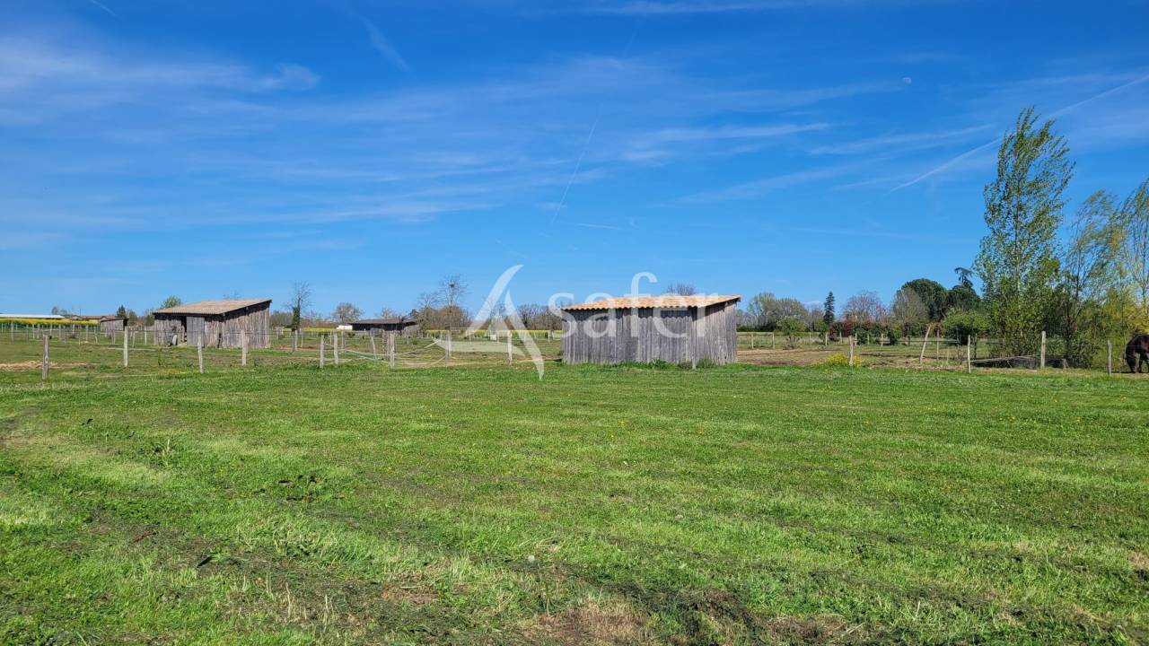 Equestrian property  tarn
