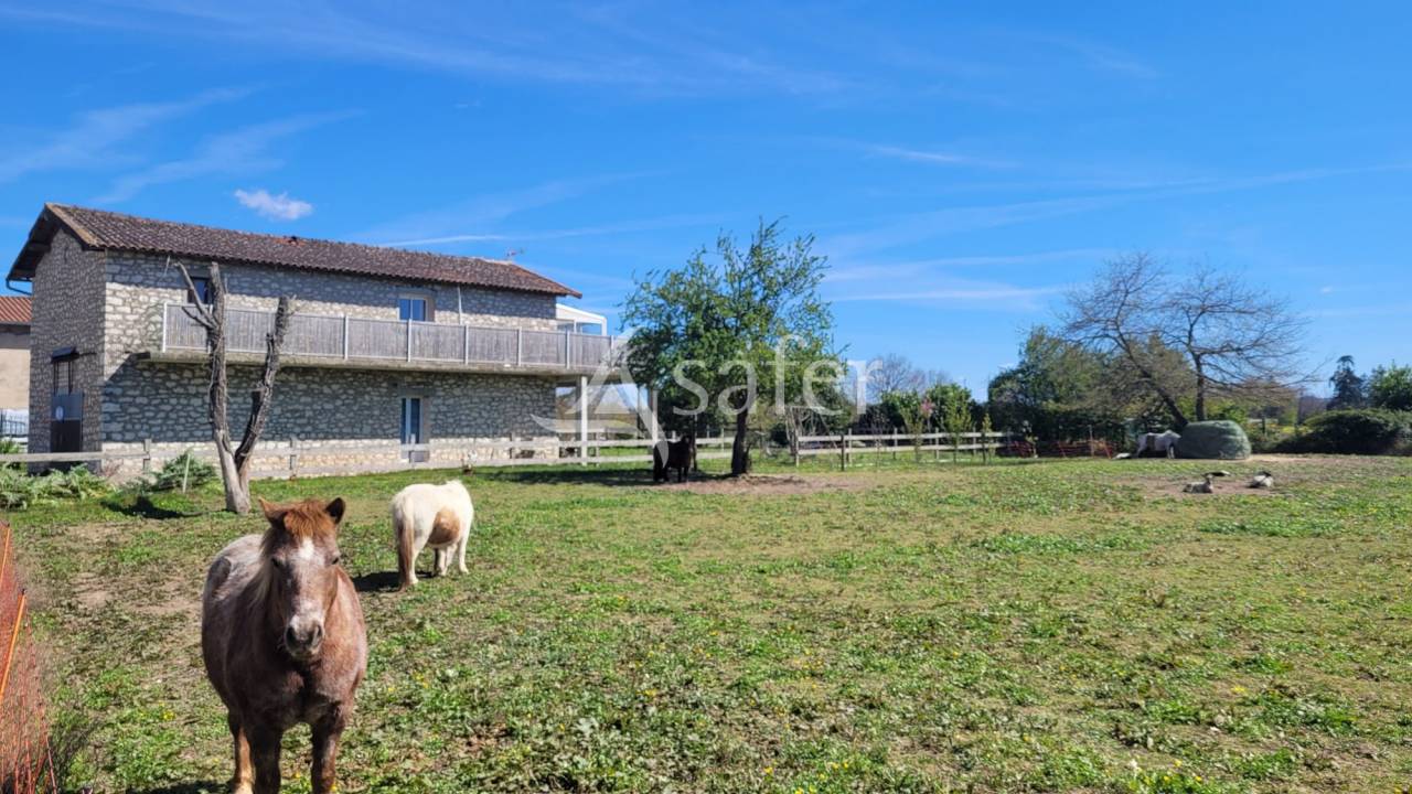 Equestrian property  tarn