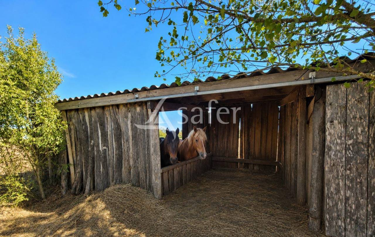 Equestrian property  tarn
