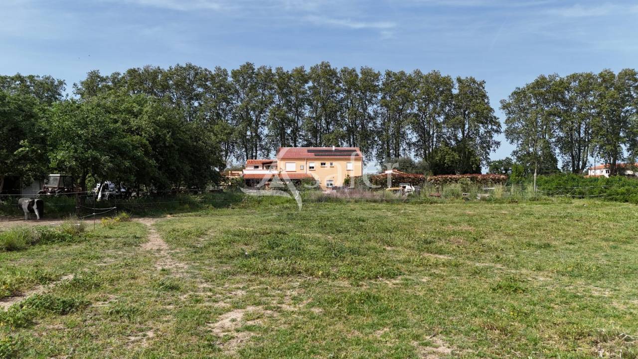 Equestrian property  Pyr&eacute;n&eacute;es-Orientales