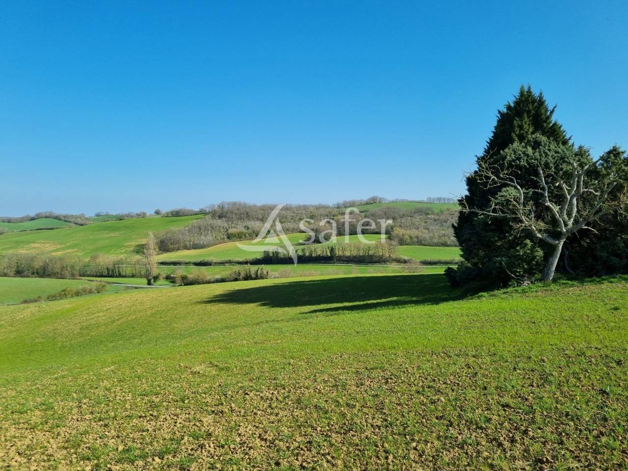 Other agricultural property  Gers