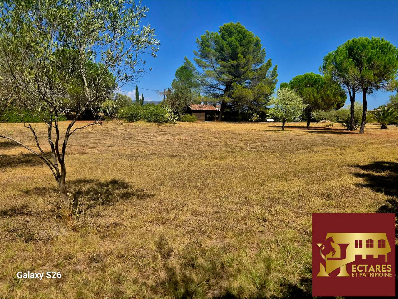Equestrian property  Var