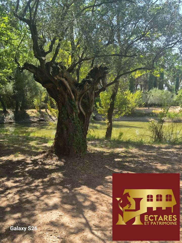 Equestrian property  Var