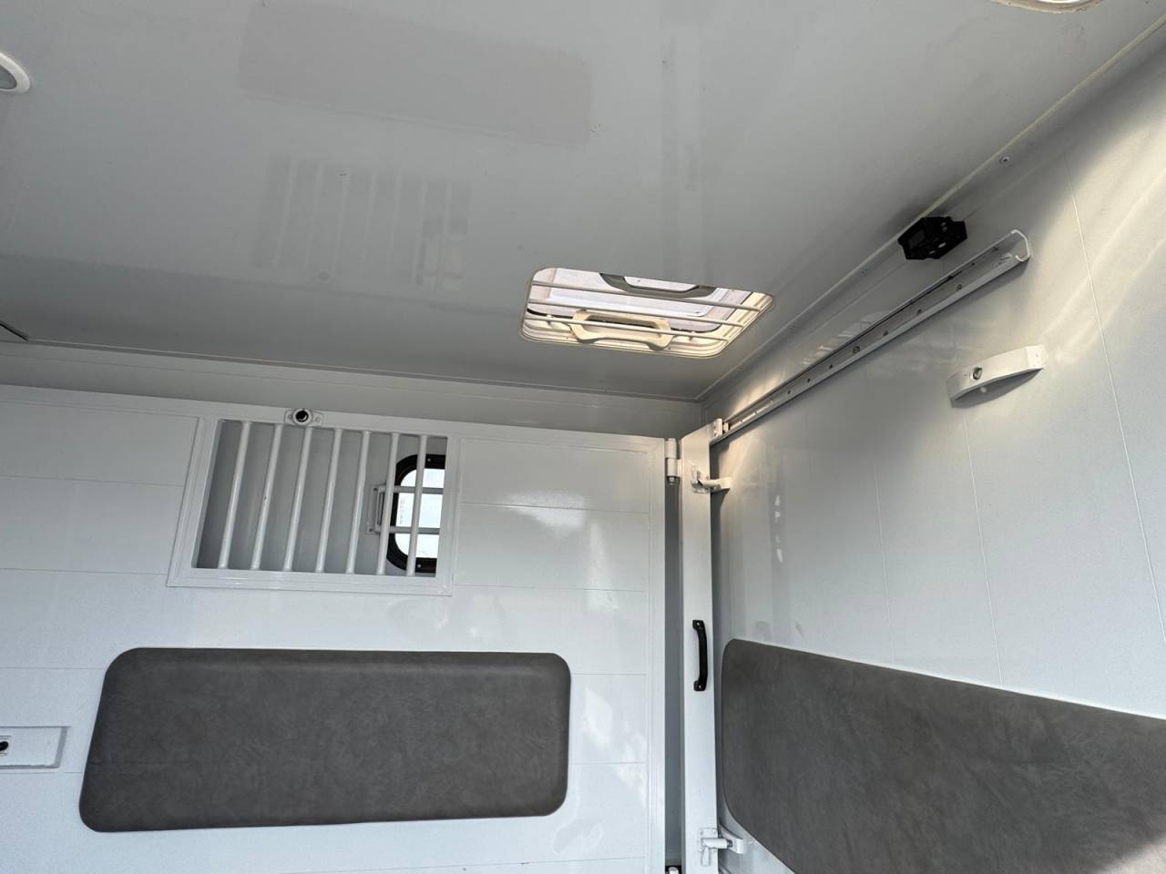 Horsebox HGV TBST RENAULT MASTER 2023 Used