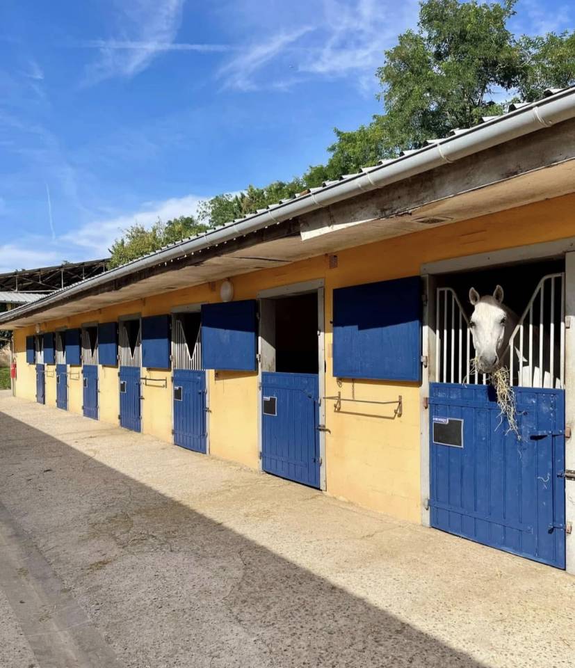 Livery yard  Seine-et-Marne
