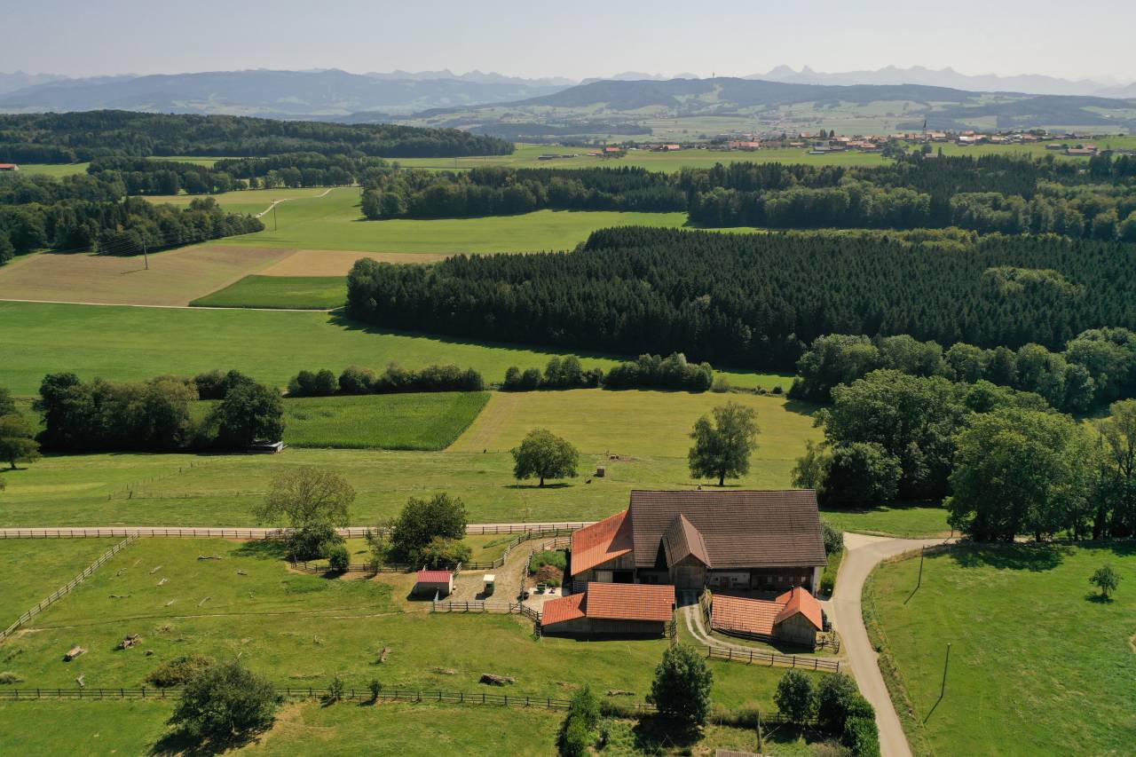 Equestrian farm  Fribourg