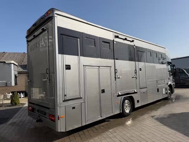 Horsebox NON-HGV Man MAN TGM 15.290 ANKA POP OUT 2025 Used