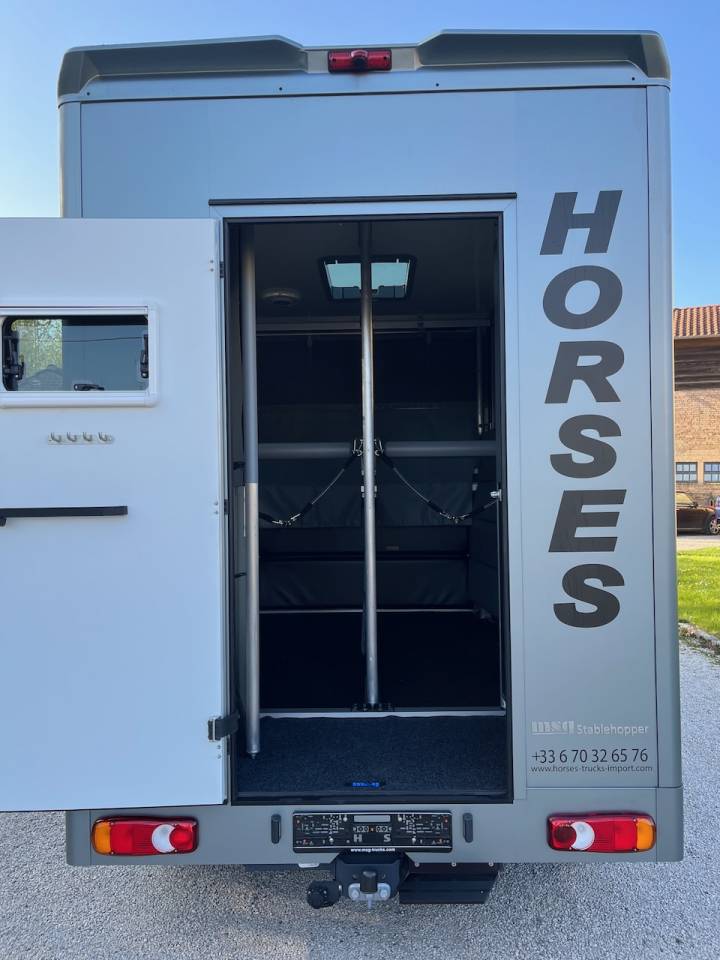 Horsebox HGV Nissan NISSAN INTERSTAR DCI 165 MSG STALLION LIGHT 2026 Used