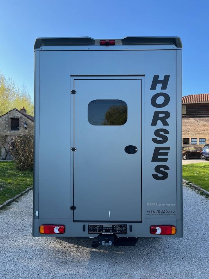 Horsebox HGV Nissan NISSAN INTERSTAR DCI 165 MSG STALLION LIGHT 2026 Used