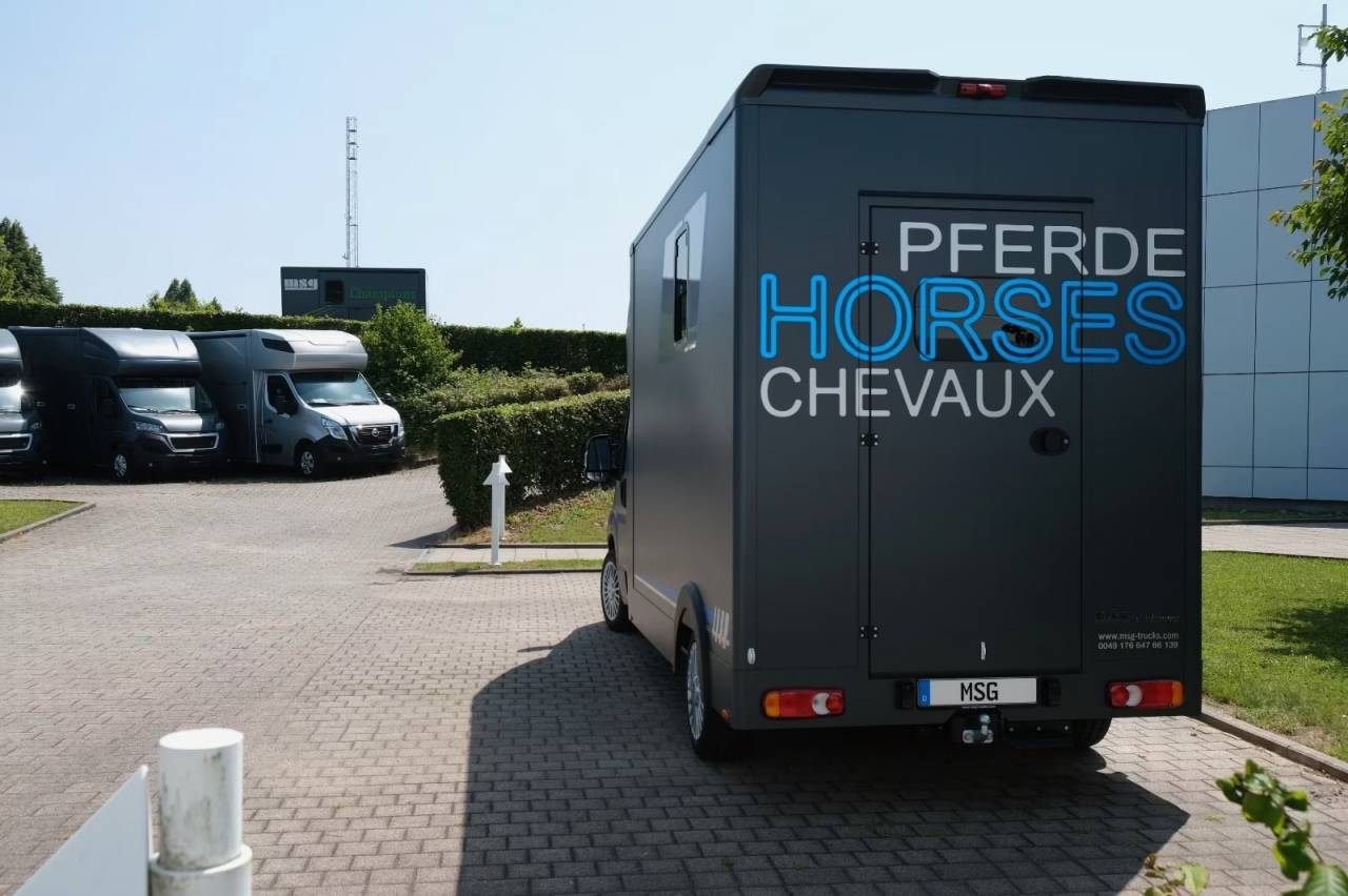 Horsebox HGV Peugeot PEUGEOT BOXER 165 MSG STALLION LIGHT NOUVEAU MODEL 2026 New