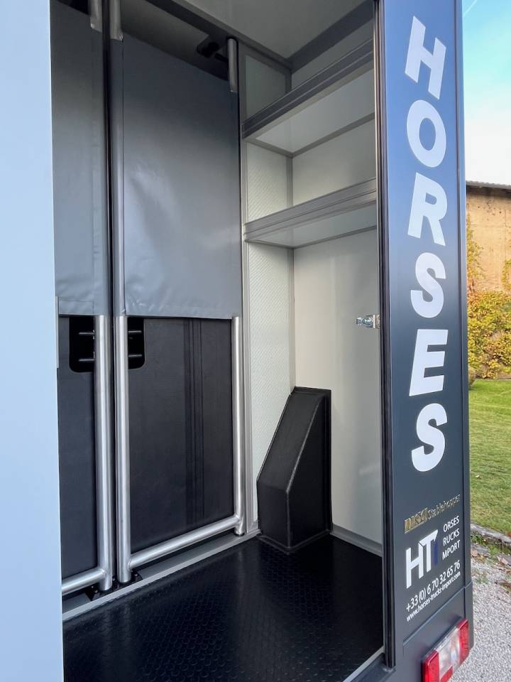 Horsebox HGV Autre marque MAXUS DELIVER 9 LUXURY MSG STALLION LIGHT 2025 Used