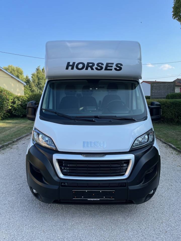Horsebox HGV Peugeot PEUGEOT BOXER BLUEHDI 165 MSG STALLION LIGHT 2025 Used