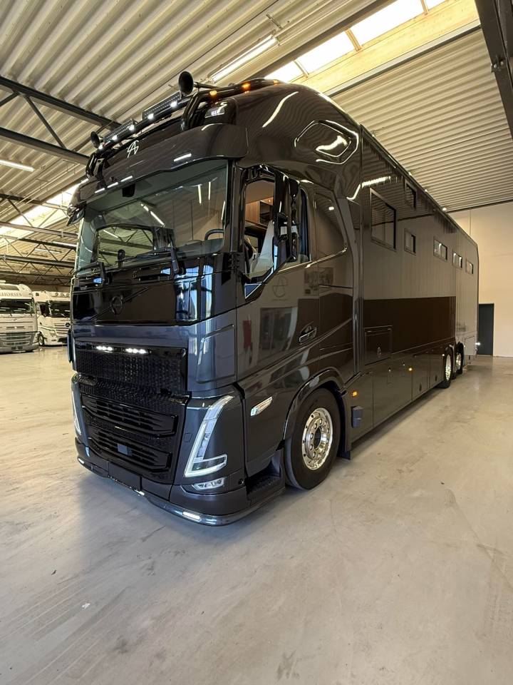 Horsebox NON-HGV Volvo VOLVO FH 500 NF 8 HORSES 2025 Used