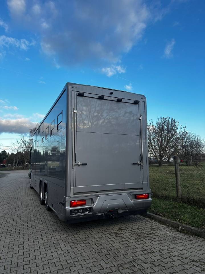 Horsebox NON-HGV HTIs SCANIA S460 HTI PROFESSIONAL 7 2026 New