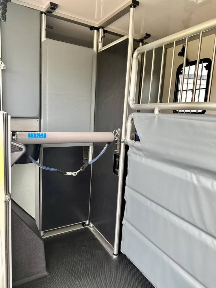 Horsebox HGV Renault RENAULT MASTER 170 MSG STALLION LIGHT AUTOMATIQUE 2026 New