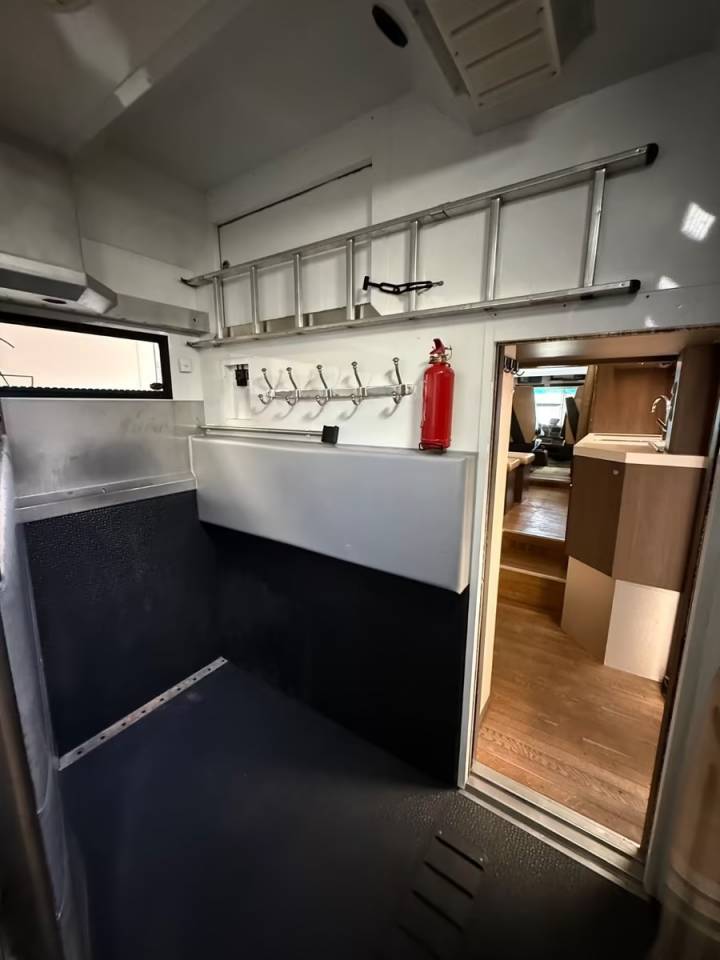 Horsebox NON-HGV Renault RENAULT MAGNUM 480 STX 5 HORSES POP OUT 2011 Used