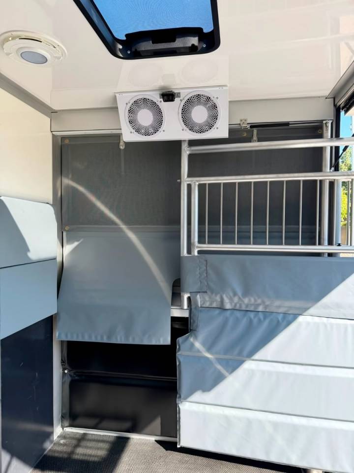 Horsebox HGV Iveco IVECO DAILY 35-210 HI-MATIC MSG STALLION LIGHT 2026 New