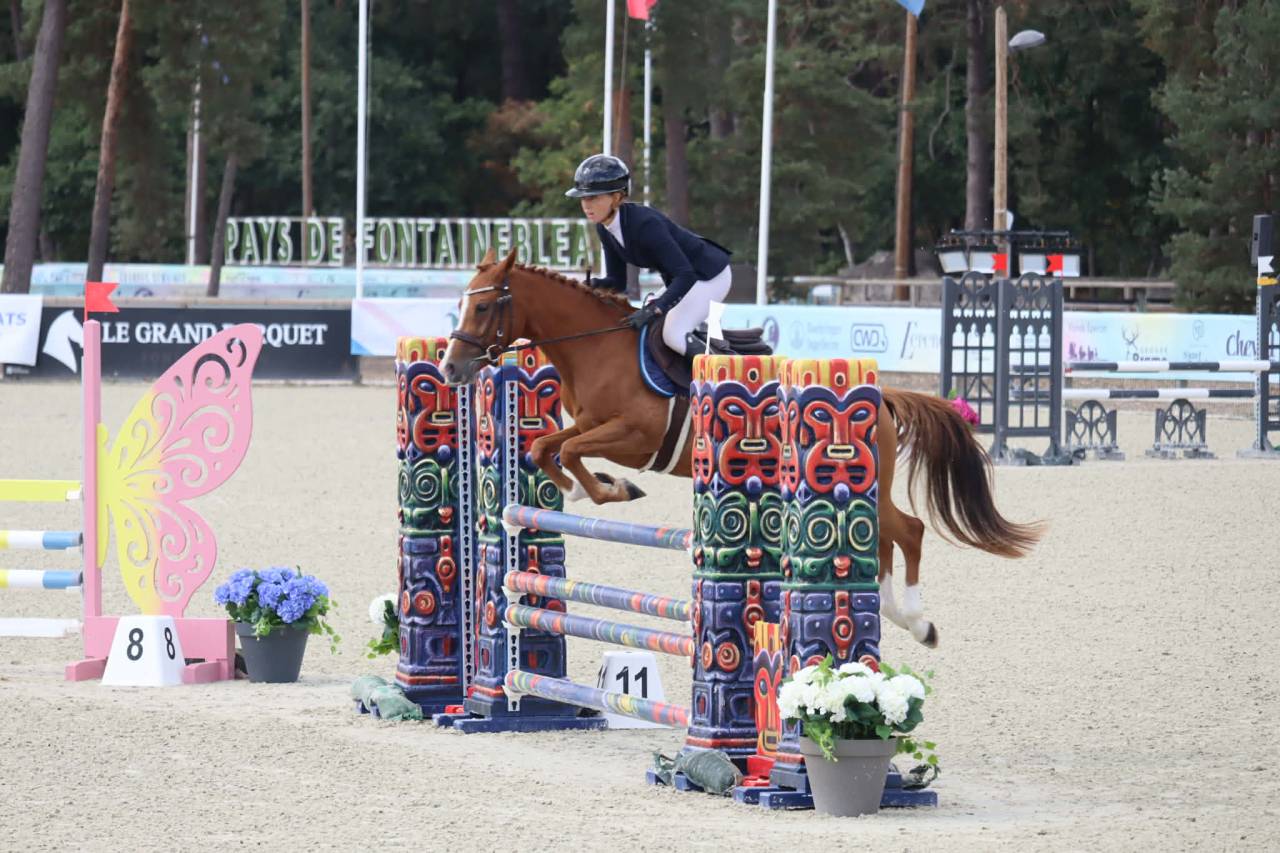 Mare French Saddle Pony For sale 2020 Chesnut