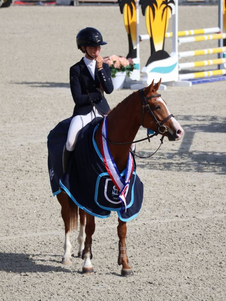 Mare French Saddle Pony For sale 2020 Chesnut