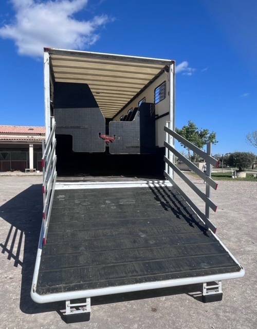 Horsebox NON-HGV Renault D 280 2018 Used