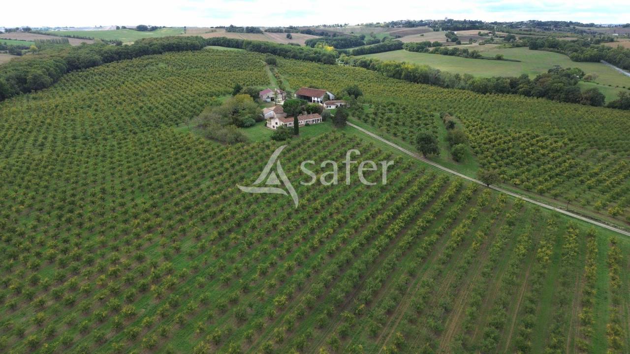 Other agricultural property  Lot-et-Garonne