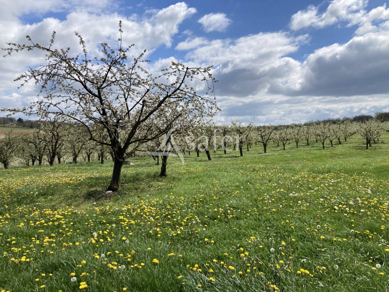 Other agricultural property  Lot-et-Garonne